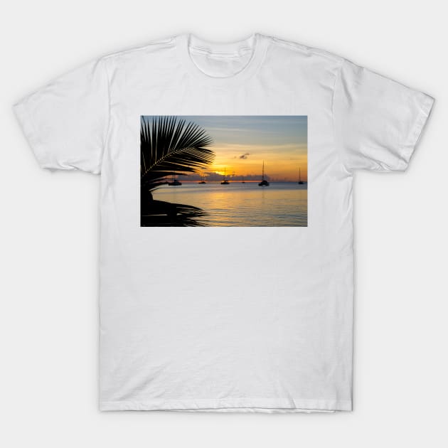 Tropical Island Sunset T-Shirt by cinema4design